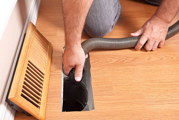 Best Air Duct Mold Removal  in Nolanville, TX
